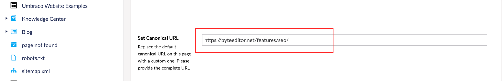 STEP 5: Canonical URL