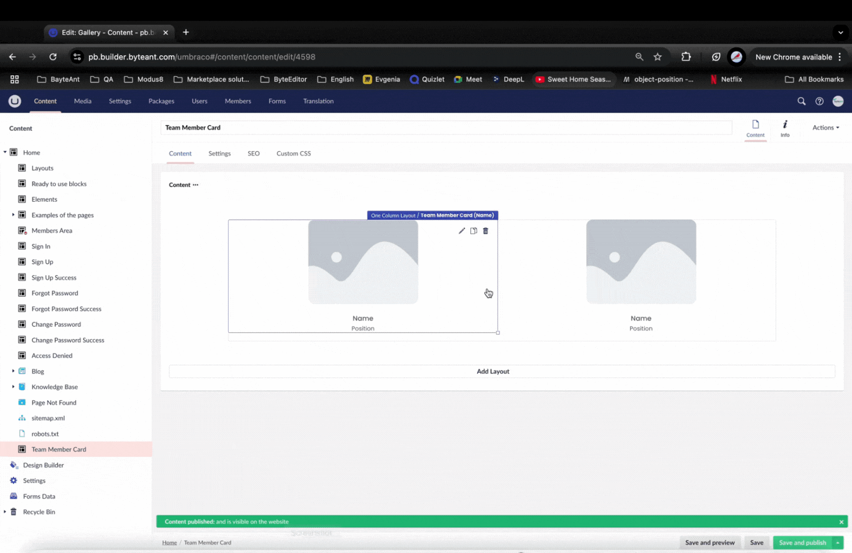 Custom CSS for the Team Member Card element — ByteEditor