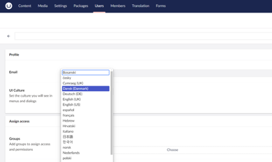 Umbraco Multilingual